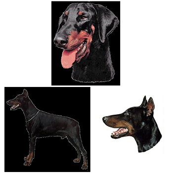 Dekal Doberman Pinscher