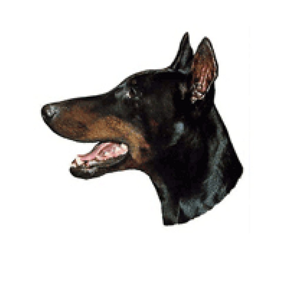 Dekal Doberman Pinscher - 2