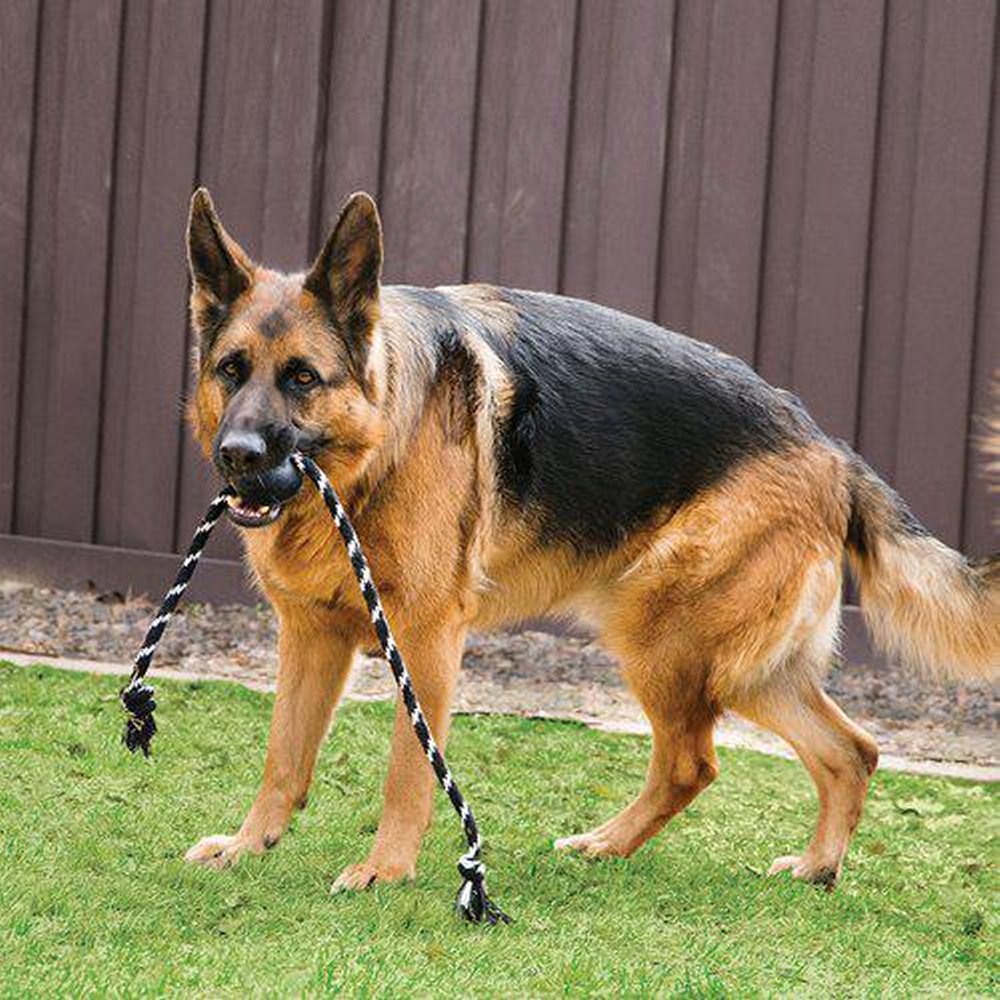 Kong Extreme boll m rep Large - 3
