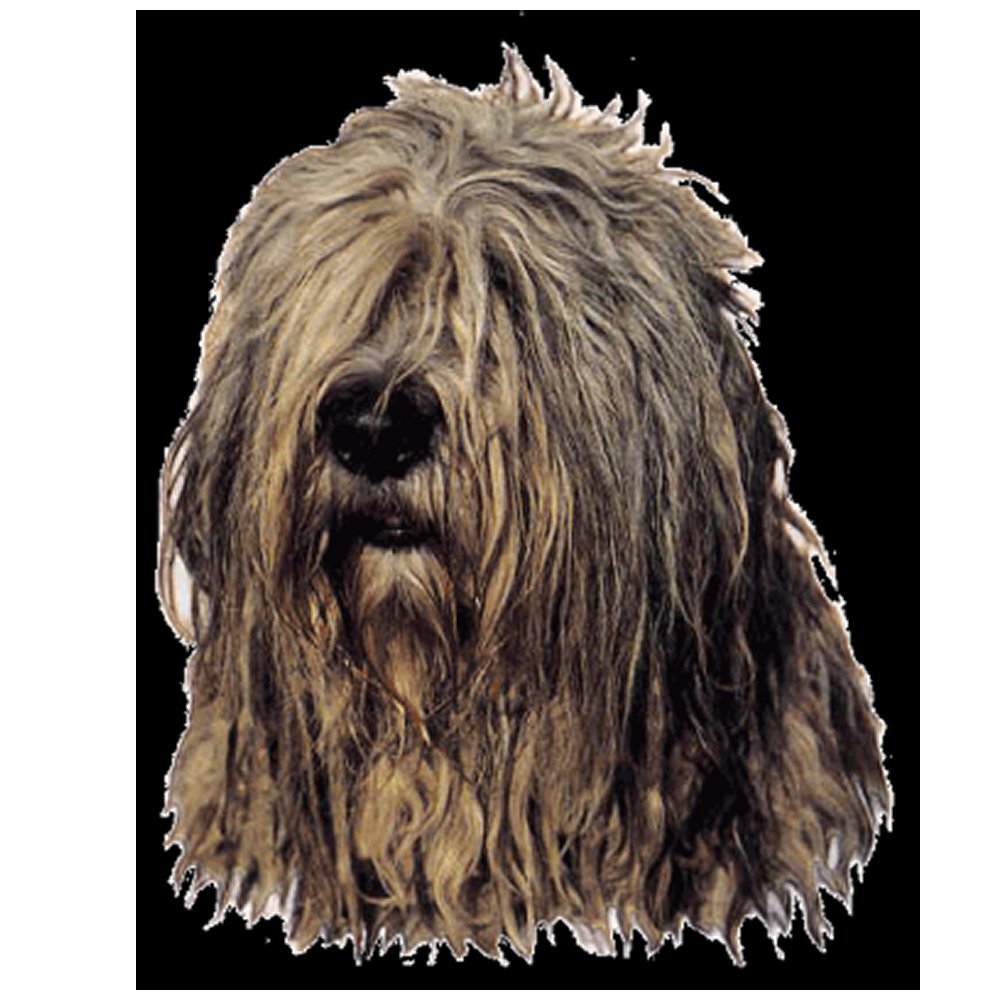 Dekal Bergamasco