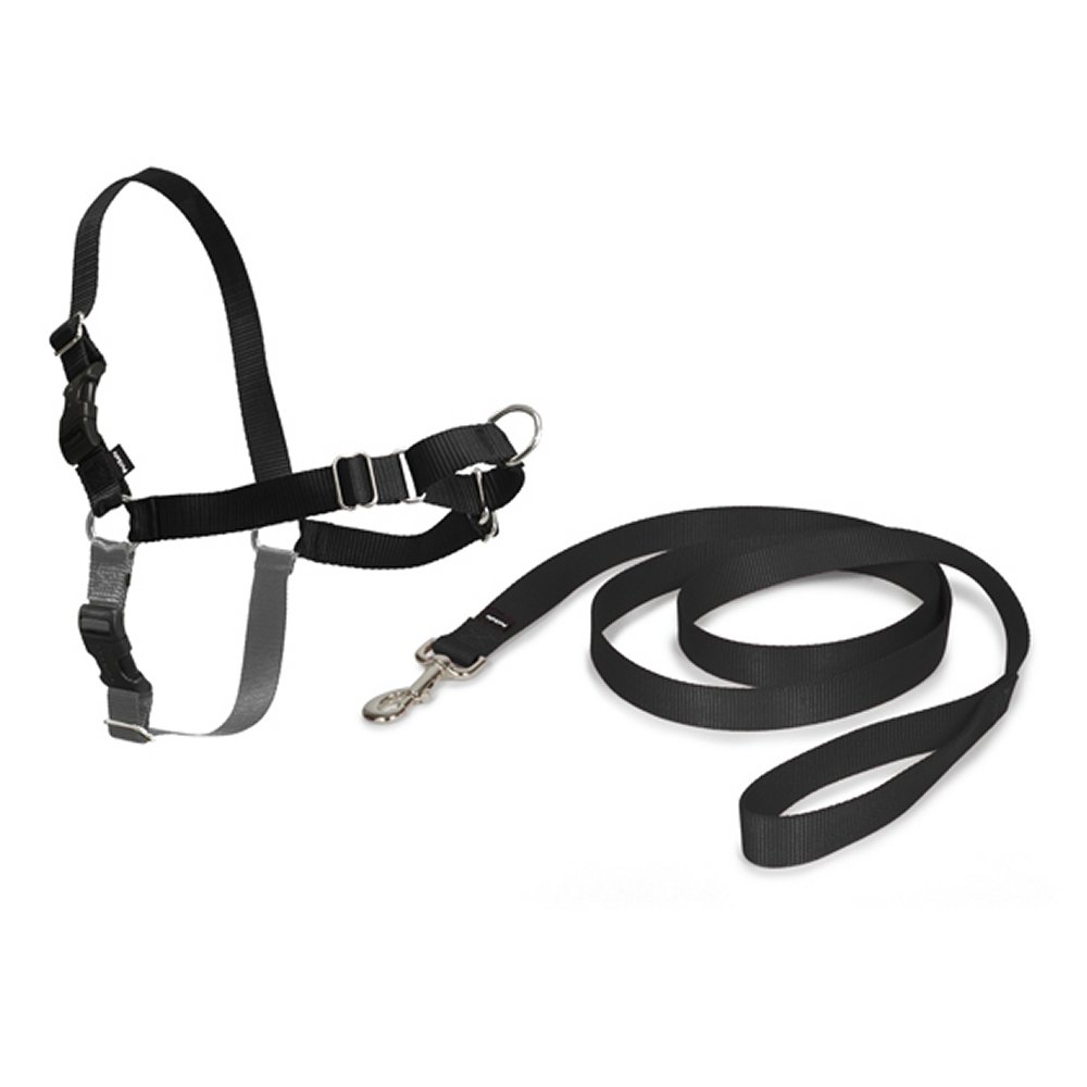 PetSafe Easy Walk sele + koppel XLarge svart