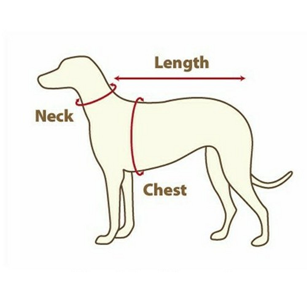 PetSafe Easy Walk sele + koppel XLarge svart - 4