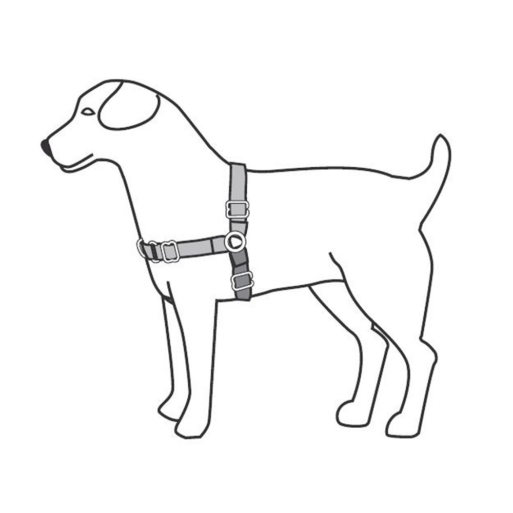 PetSafe Easy Walk sele + koppel XLarge svart - 6