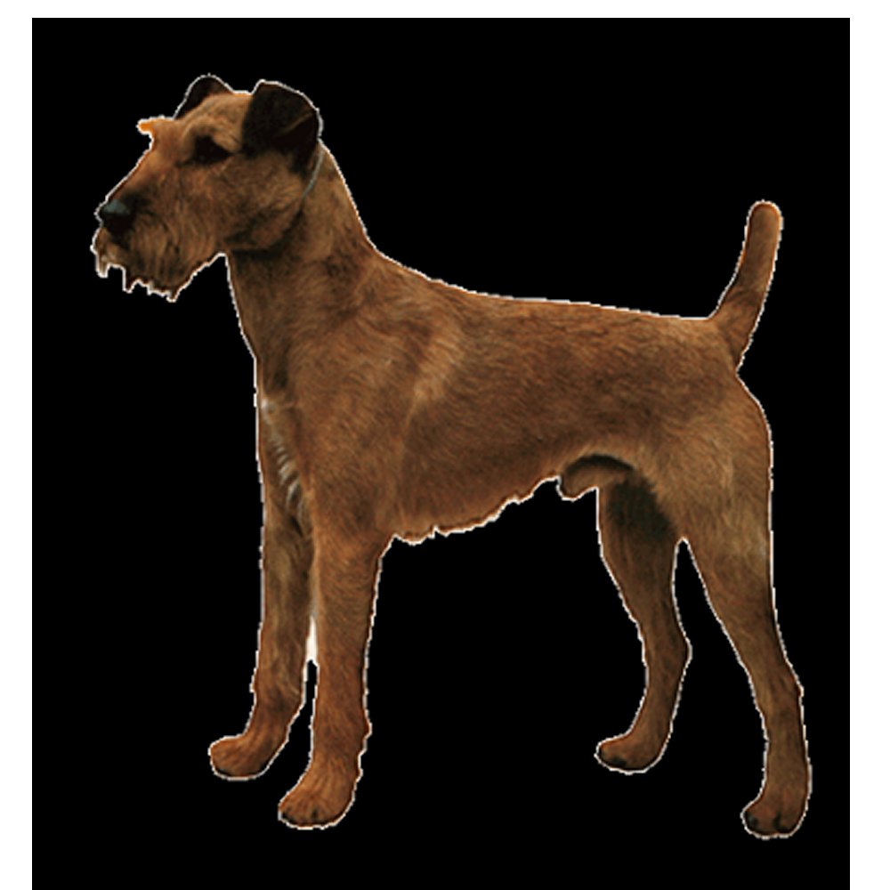 Dekal Irländsk terrier