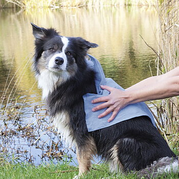 Top-Fix Hundhandduk