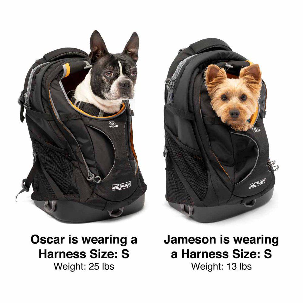 Kurgo G-train K9 Pack Black - 3
