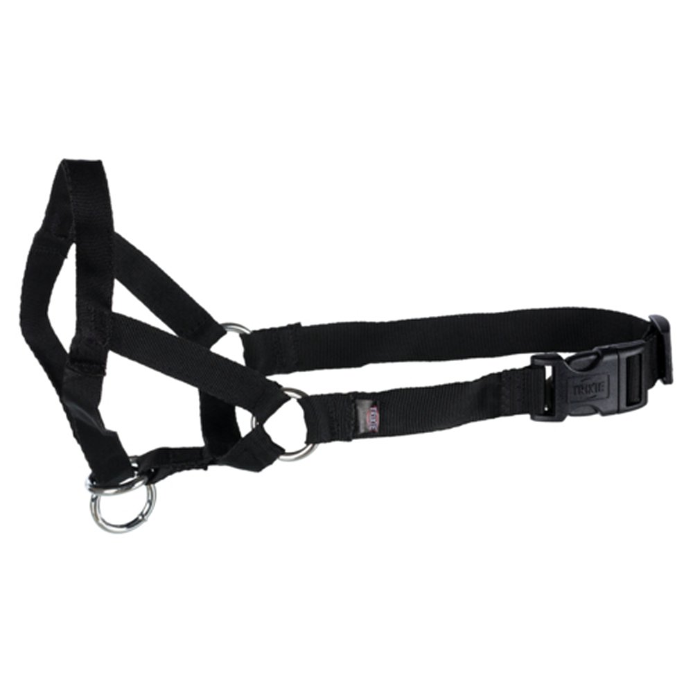 Nossele Top Trainer - 5