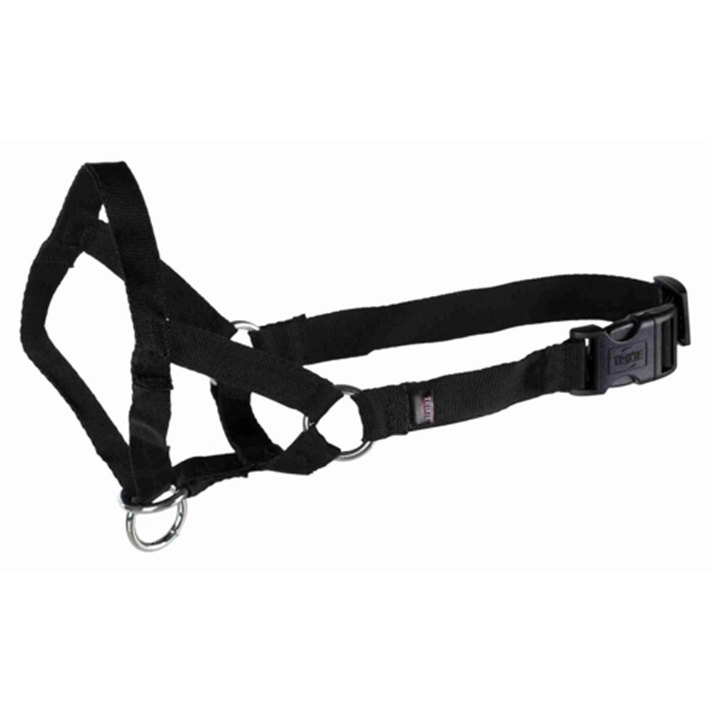Nossele Top Trainer