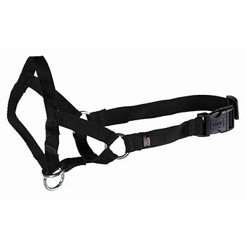 Nossele Top Trainer