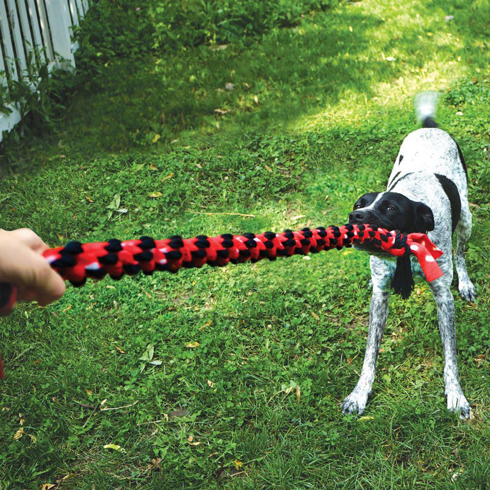 Kong Signature Ropedual Knot 57x14x5cm - 3