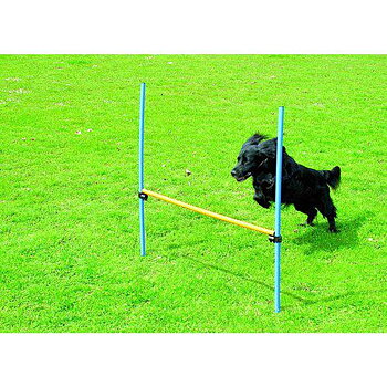 Agility Hinder Höjd max 116 cm