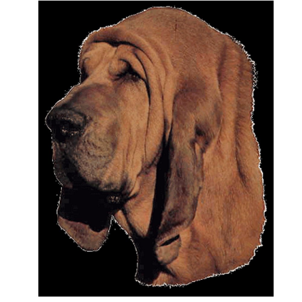 Dekal Blodhund röd