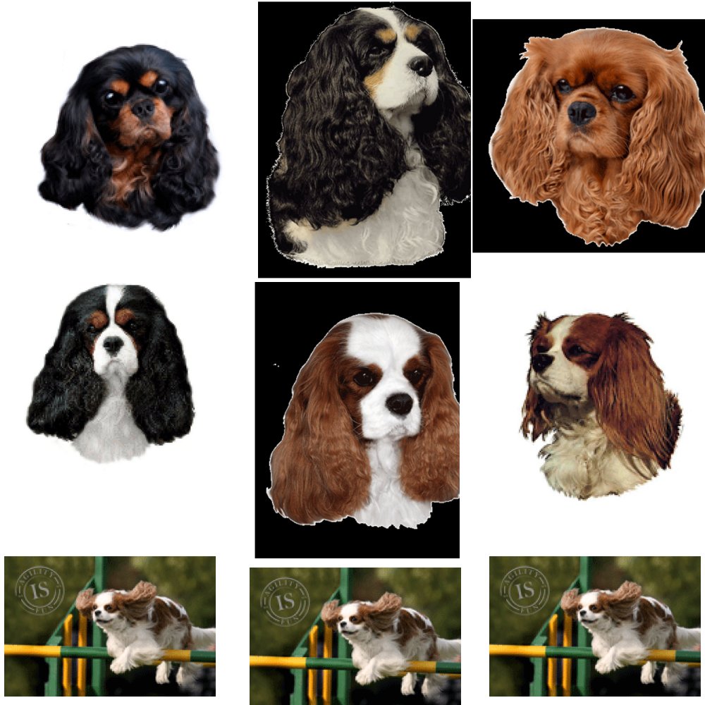 Dekal Cavalier King Charles Spaniel