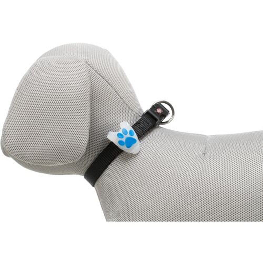 Flasher för hund, ø 2,4 cm/8 cm - 7