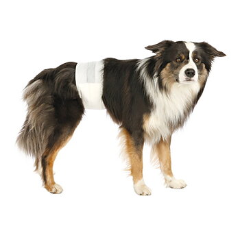 Blöjor för hanhund L-XL 60-80 cm 12-pack