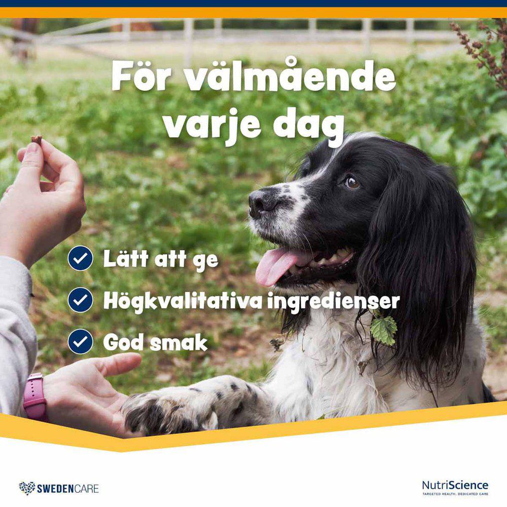 Wellichews Joint Small Dog 120 St - 3