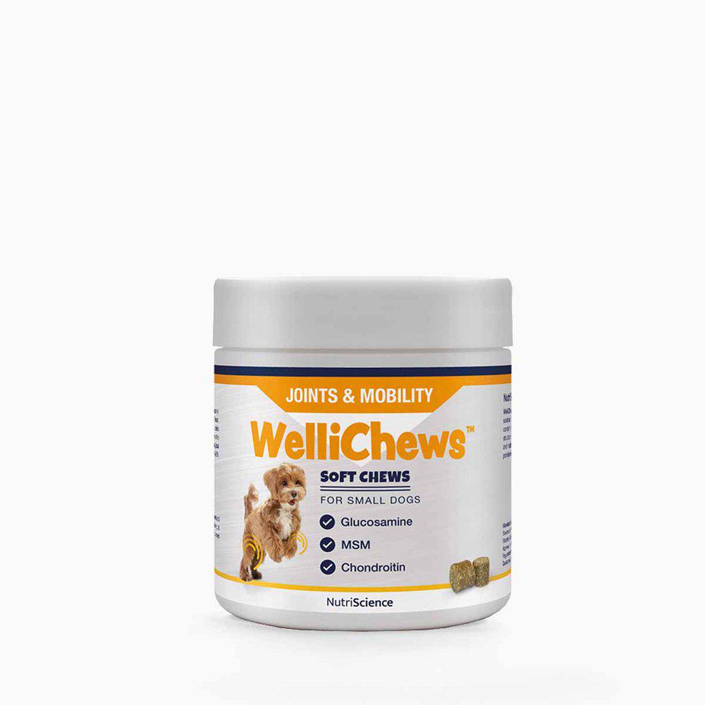 Wellichews Joint Small Dog 120 St
