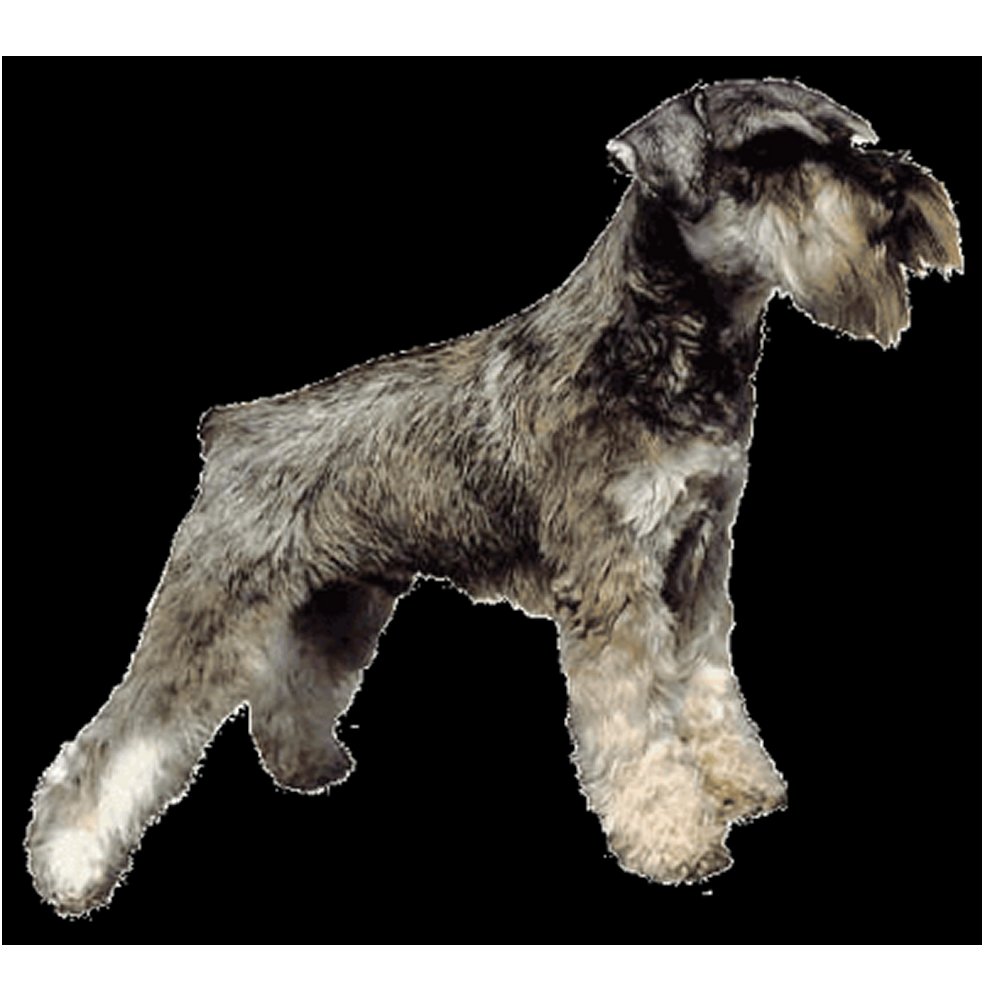 Dekal Dvärgschnauzer