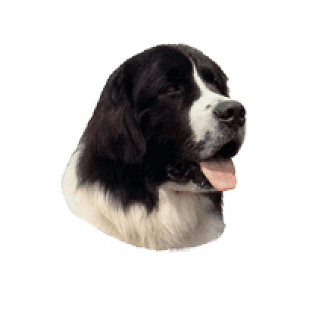Dekal Landseer
