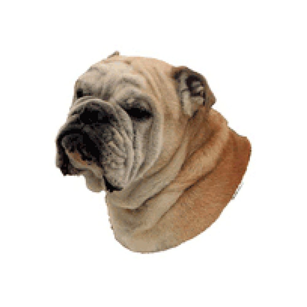 Dekal Engelsk bulldog