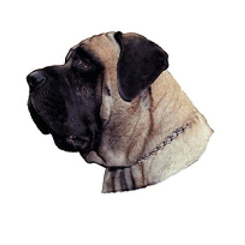 Dekal Engelsk mastiff