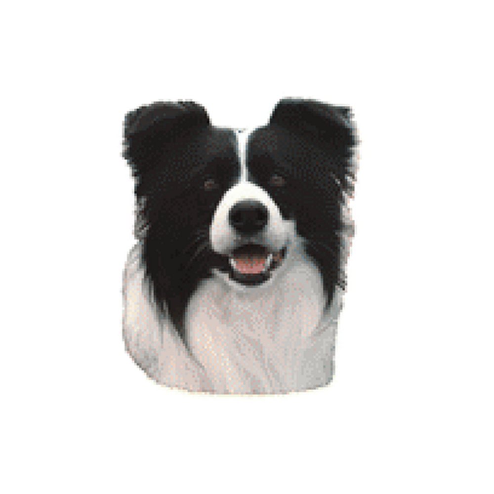 Dekal Border Collie - 5