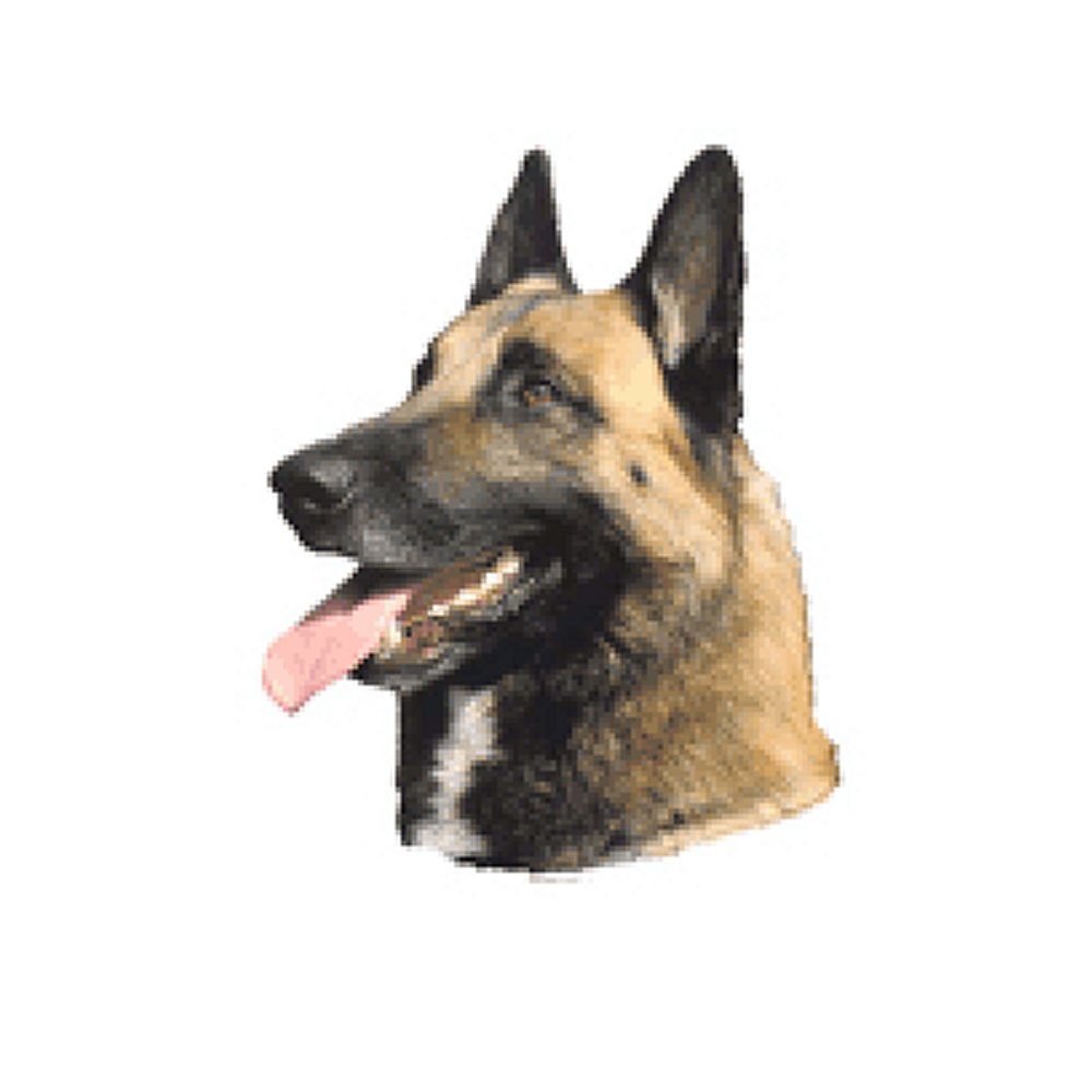 Dekal Malinois Belgisk Vallhund