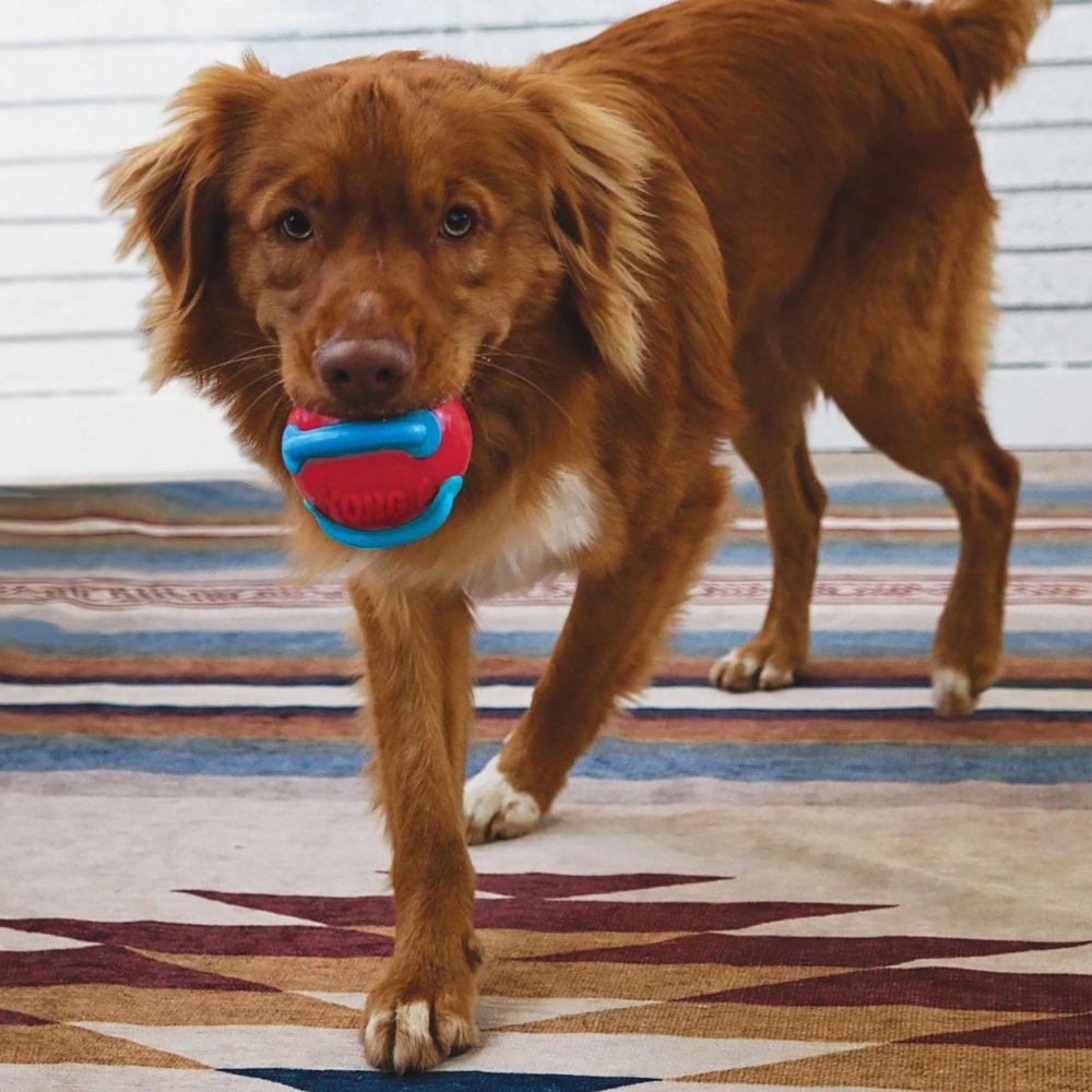 Kong Jaxx Brights Ball Mix 6,5 cm - 3