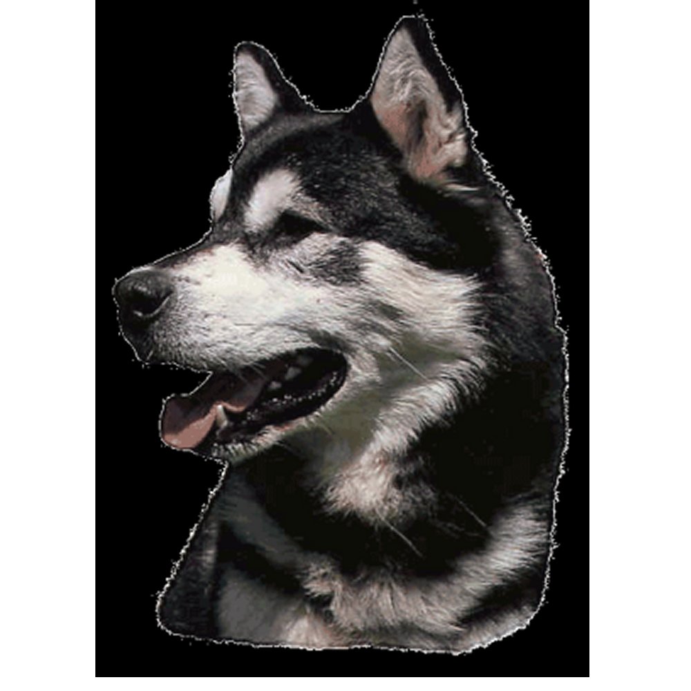 Dekal Alaskan Malamute
