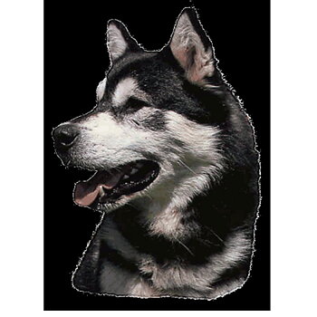Dekal Alaskan Malamute