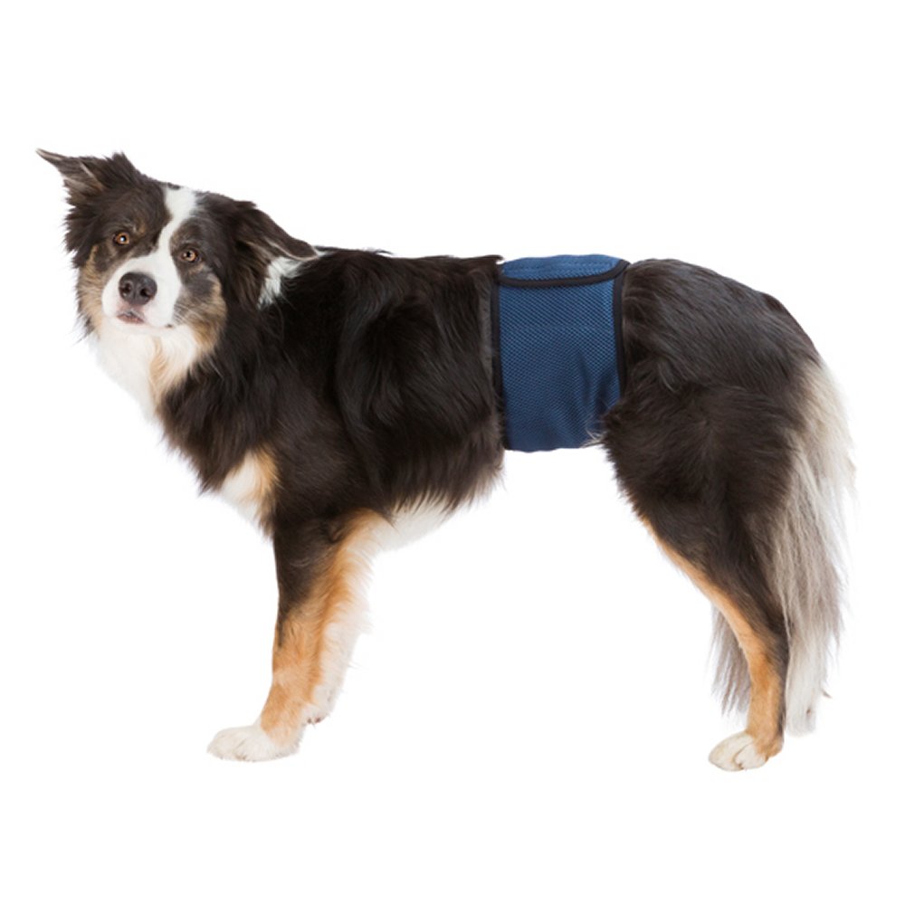 Hanhundsskydd Mörkblå 37-45 cm