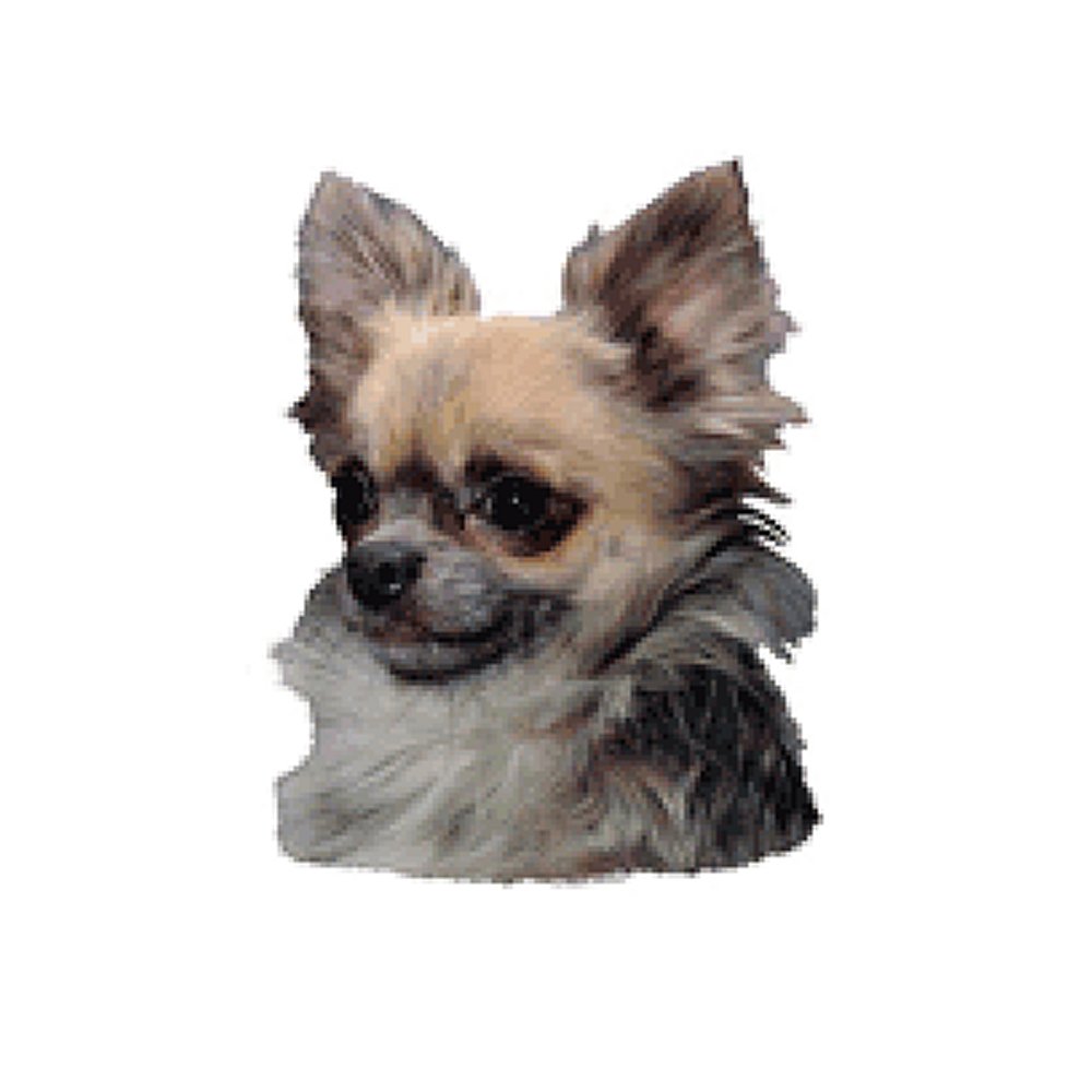 Dekal Chihuahua långhårig - 2