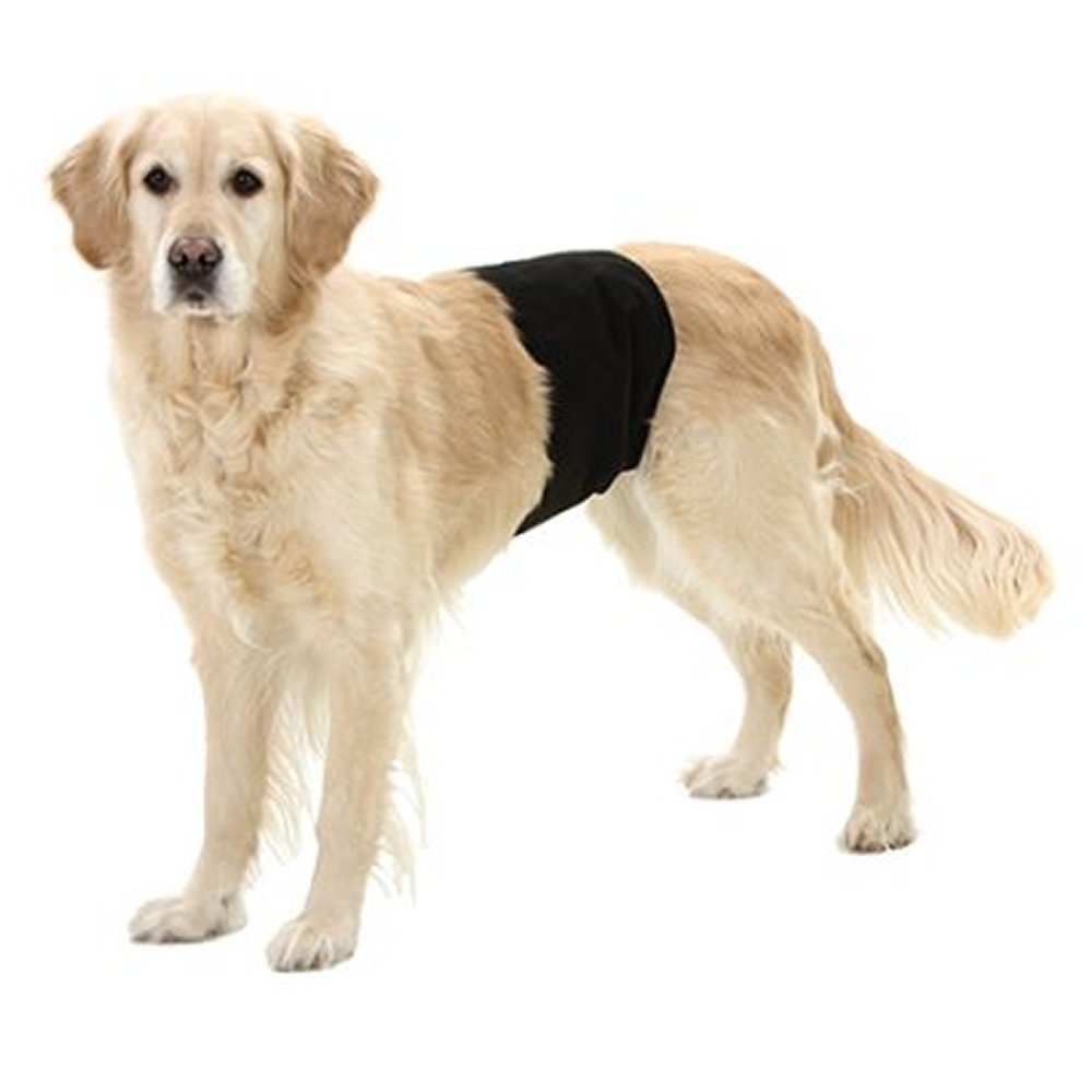 Kisskydd/Skvättskydd hanhund 74 x 23 cm (Large) - 4