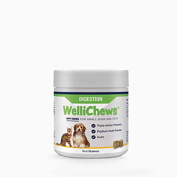 Wellichews Digestion Small 120 st