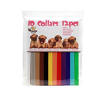 Halsband ID för valp 12-pack