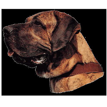 Dekal Fila Brasileiro
