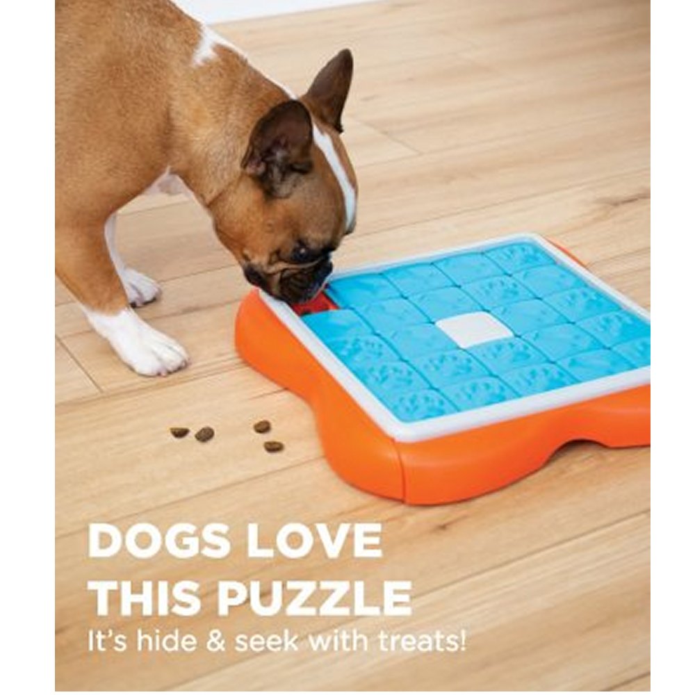Dog Challenge Slider - 4