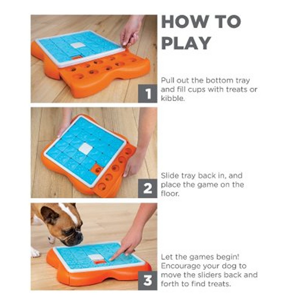 Dog Challenge Slider - 3