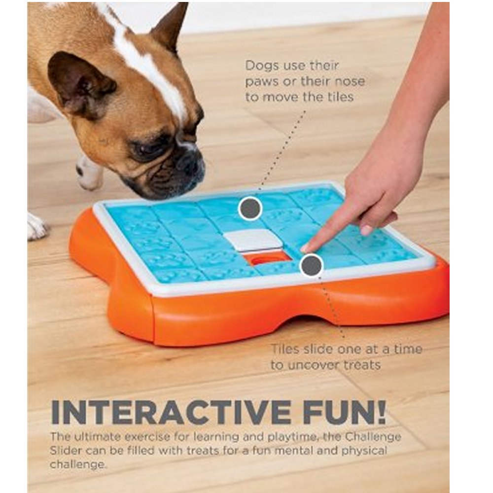 Dog Challenge Slider - 5
