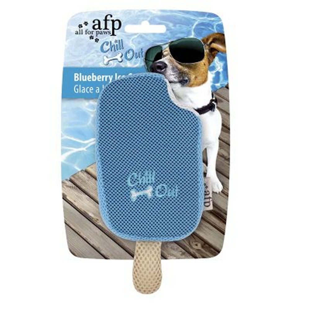 Chil Out Blueberry Ice Cream