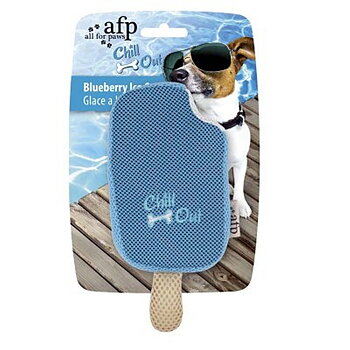 Chil Out Blueberry Ice Cream