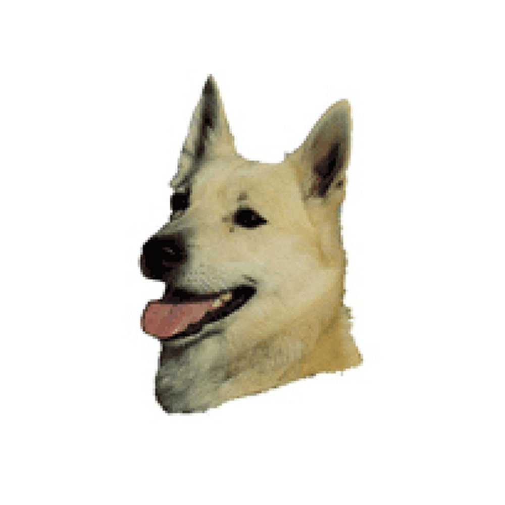 Dekal Norsk Buhund