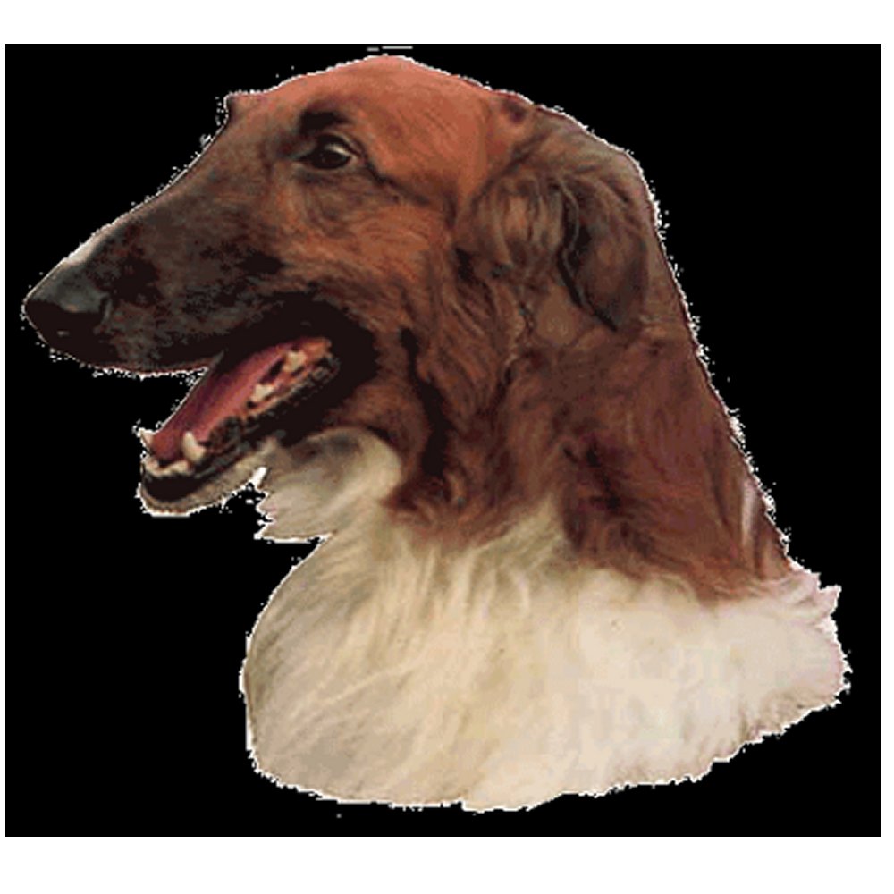 Dekal Borzoi