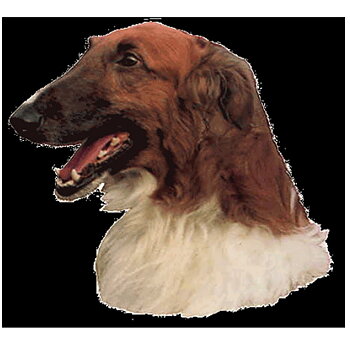 Dekal Borzoi