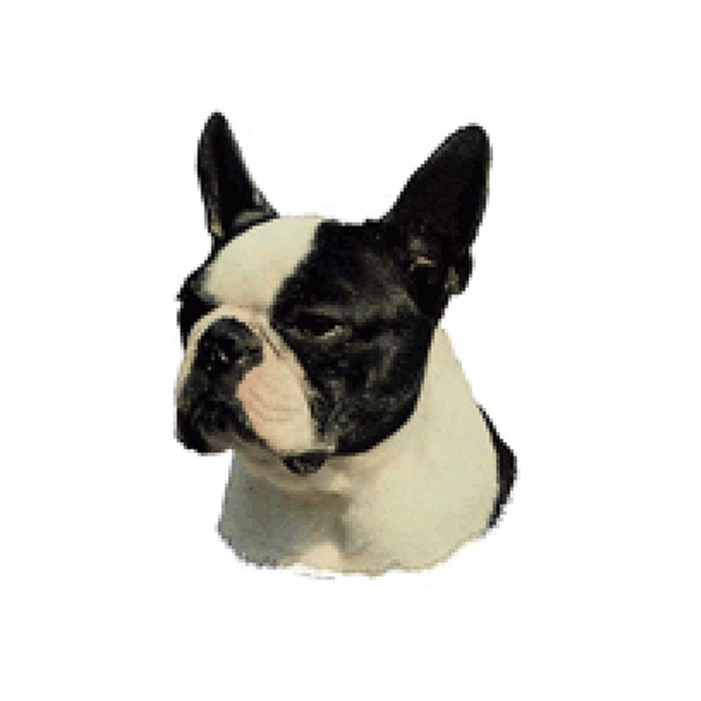 Dekal Boston terrier
