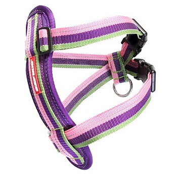 Ezydog Bil/Promenad sele Candy Small (37-60cm)
