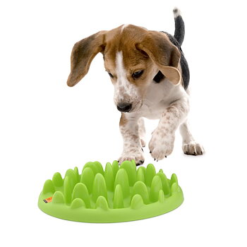NorthMate Green Mini