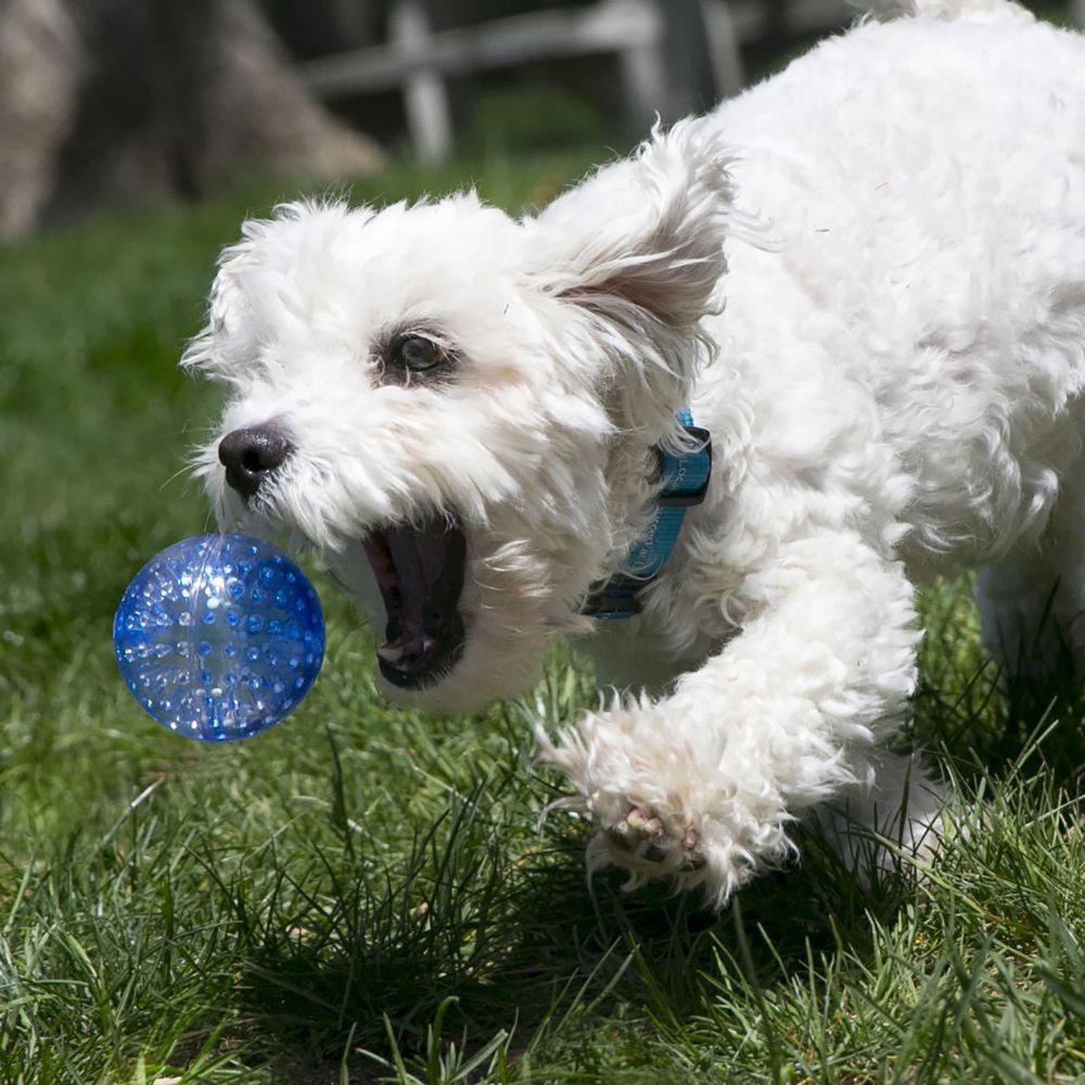 Kong Squeezz Geodz Ball L 2-pack - 4