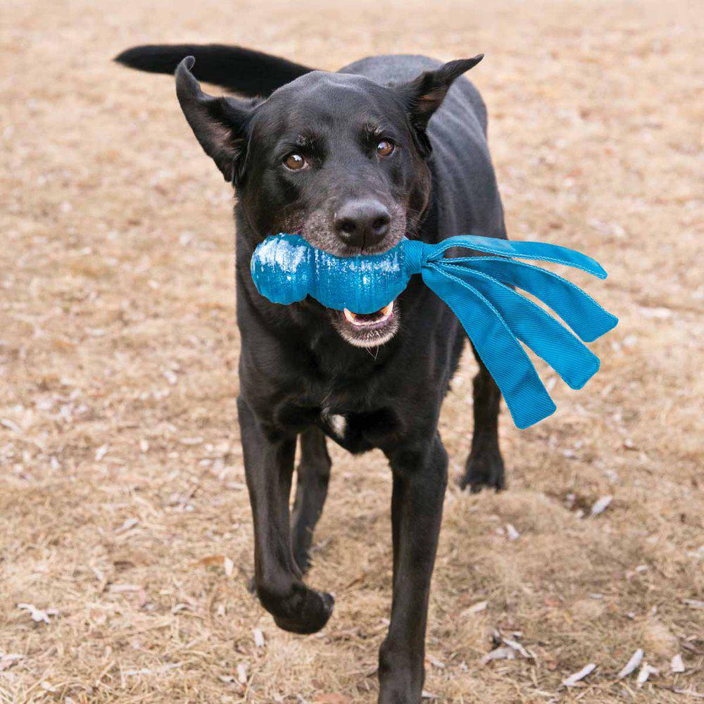 Kong Wubba Comet - 3