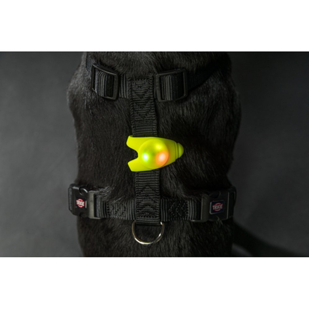 Flasher för hund, ø 2,4 x 8 cm - 2